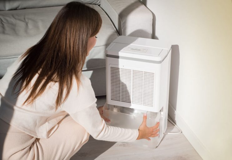 Woman using humidifier