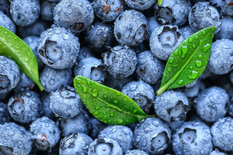 Blueberries