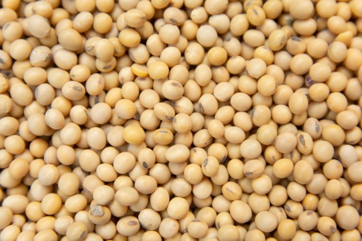 Soybeans