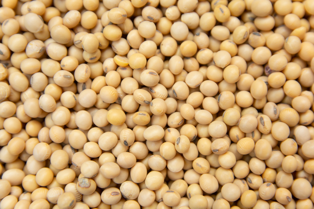 Soybean oil is a skin-loving ingredient that’s rich in essential fatty ...