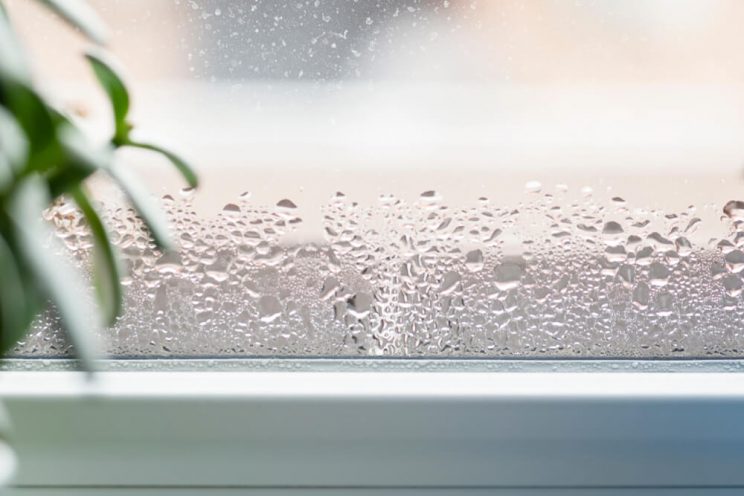 condensation-on-window