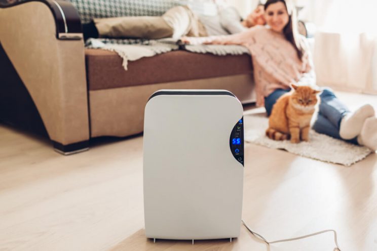 Woman with humidifier in room